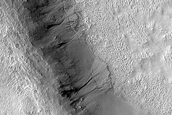 Gullied Crater Wall