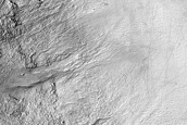 Equator Facing Gullies at High Mid Latitudes