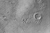 Monitoring Dust Devil Tracks
