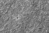 Candidate Recent Impact Site in South Polar Layered Deposits