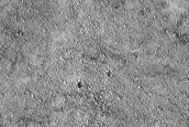 Terrain Sample
