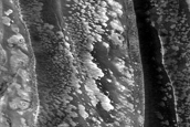 USGS Dune Database Entry Number 1134-774