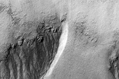 Gully Monitoring