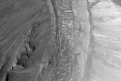 Leveed Feature on North-Facing Valles Marineris Wall Landslide or Glacier