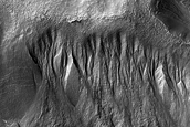 Gully Monitoring