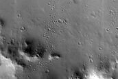 Terrain Sample