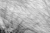 Small Fresh Crater