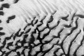 Dune Monitoring in Crater