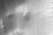 Fresh Crater with Possible Gullies in Cavi Angusti