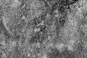 Albedo Monitoring in Solis Planum