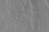 Terrain Sample