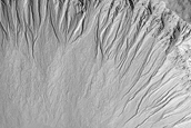 Galap Crater Gullies