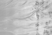 Gully Monitoring