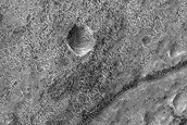 Channels in Northeastern Hellas Planitia