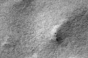 Terrain Sample