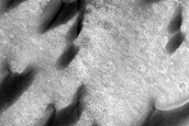 Dunes in Arkhangelsky Crater
