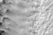 South Polar Terrain Sample