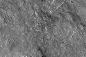Terrain Sample