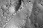 Terrain Sample