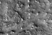 Terrain Sample