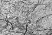 Terrain Sample