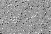 Possible South Polar Residual Cap Impact Crater or Pit
