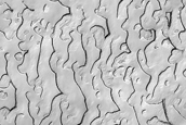 South Polar Residual Cap Mosaic Campaign