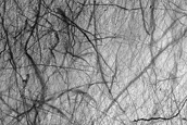 Terrain Sample
