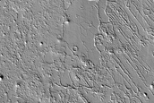Southern Amazonis Planitia