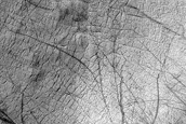 Area in Image Repeatedly Monitored by Mariner 9