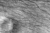 Terrain Sample
