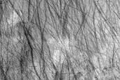 Dark Filamentary Streak Year-Round Monitor Site in Noachis Terra