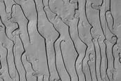 South Polar Residual Cap Mosaic Campaign