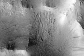 Lycus Sulci