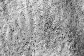 South Polar Terrain