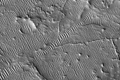 Ridges in Tempe Terra