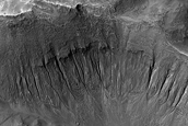 Gully Monitoring