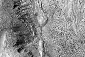 Gully Monitoring