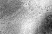 Terrain Sample