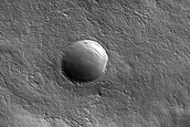 Terrain Sample