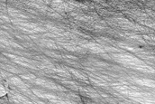 Wind Streaks in Malea Planum