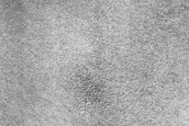 Terrain Sample