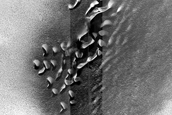 Dune Monitoring in Crater