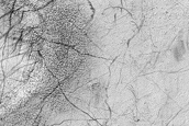 Terrain Sample
