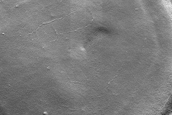 Terrain Sample