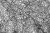 Terrain Sample