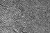 Terrain East of Nicholson Crater