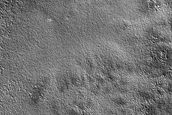 Terrain Sample