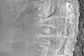 Crater Walls in Terra Sabaea