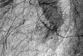 Degraded Crater Rim